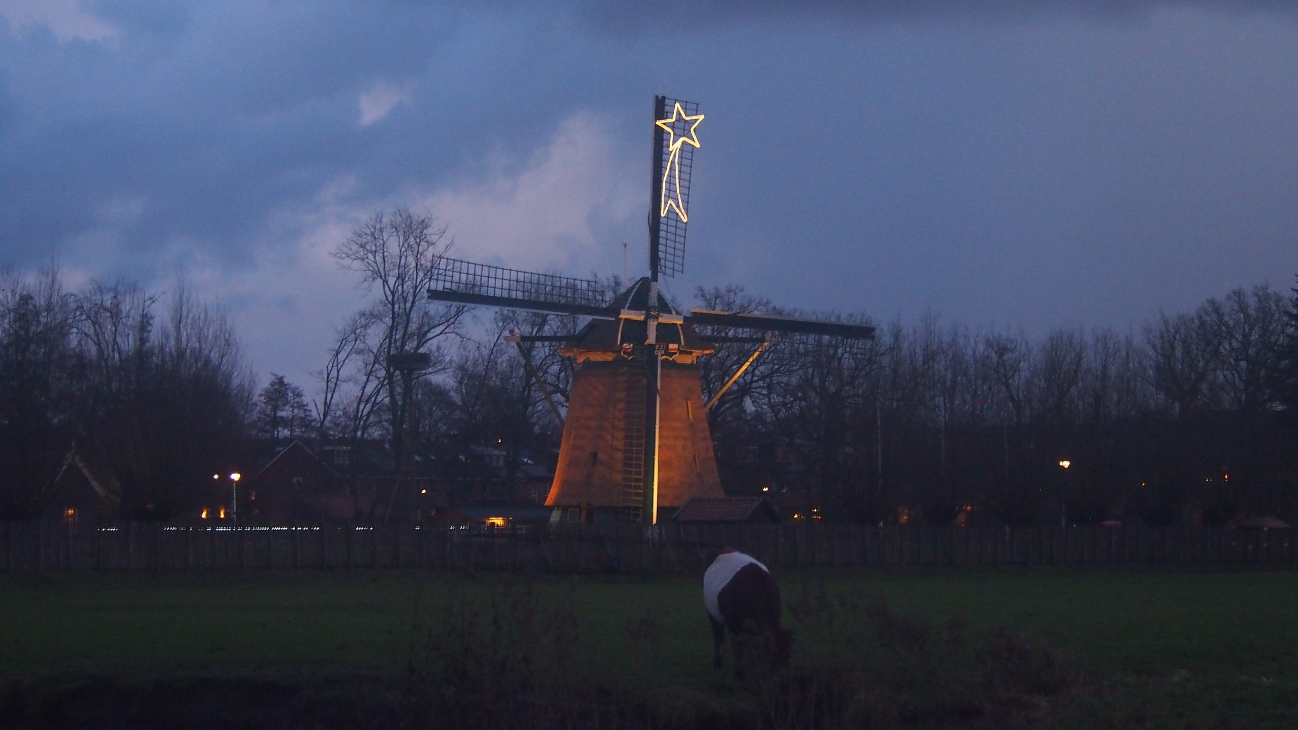 Molen De Vlieger in Voorburg bereidt zich voor op Kerst en knotwerk