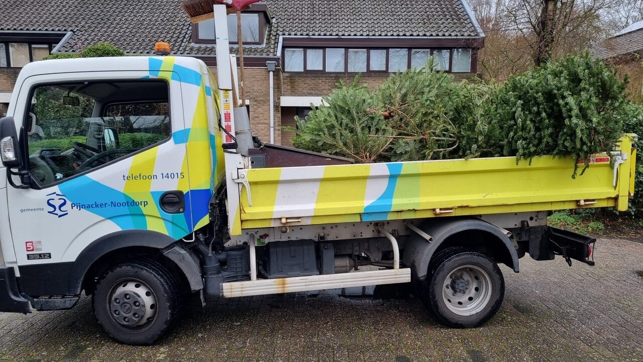 Wat te doen met je kerstboom na de feestdagen?