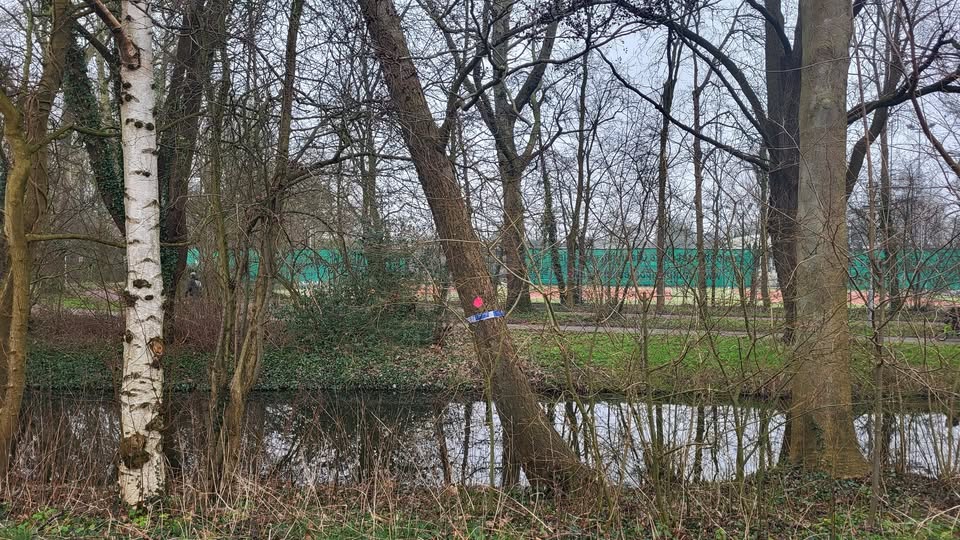 Gemeente Leidschendam-Voorburg kapt zieke bomen voor veiligheid