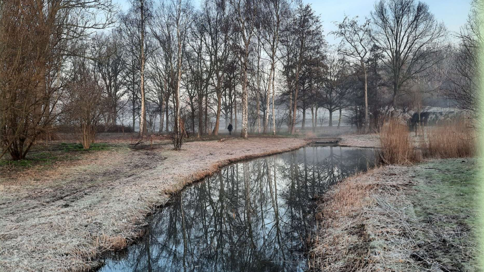 Leer meer te weten komen over Natuurtuin Wilhelminapark