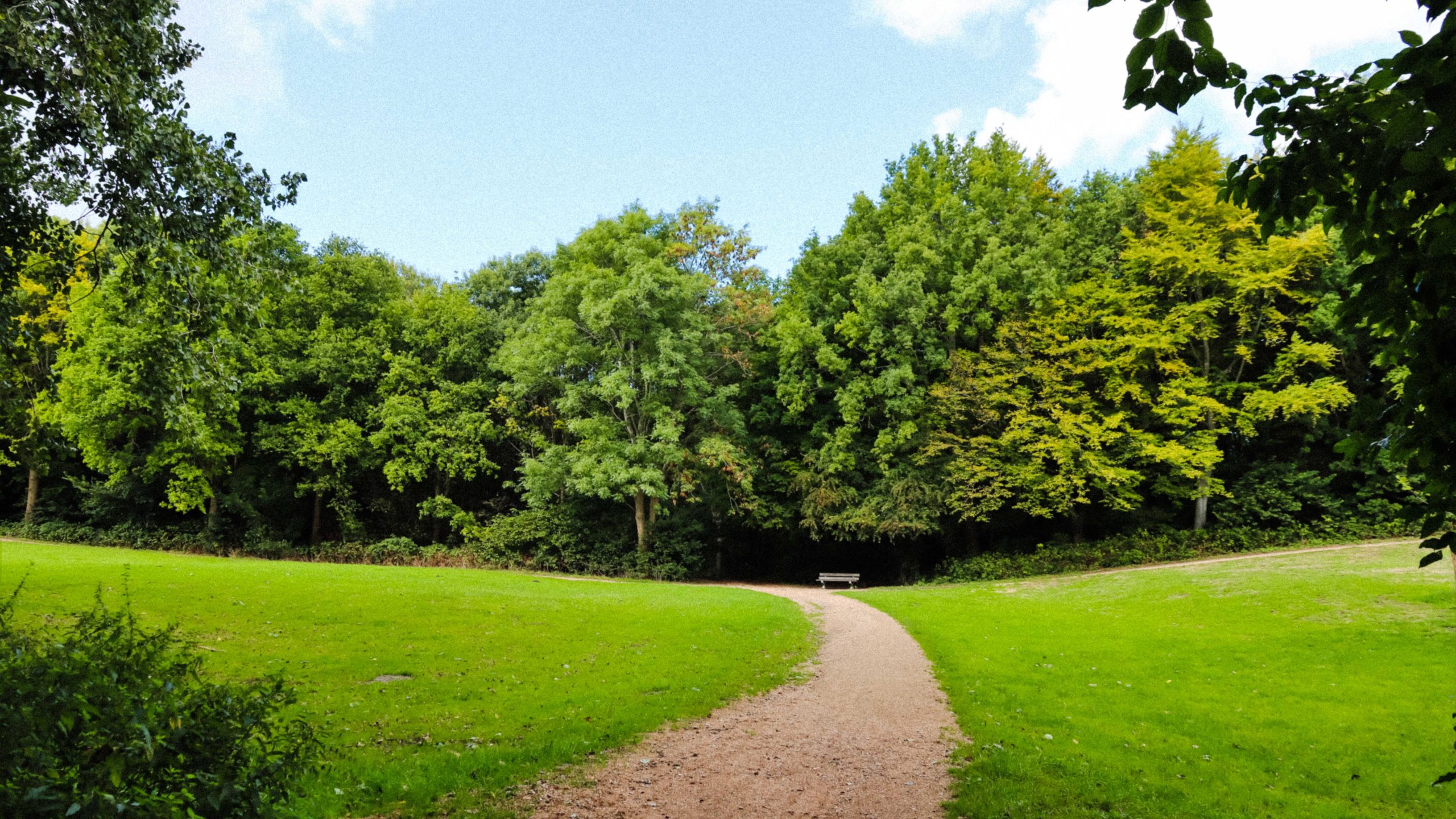 Nieuw groenbeleid zorgt voor meer groen en inzicht voor inwoners Rijswijk