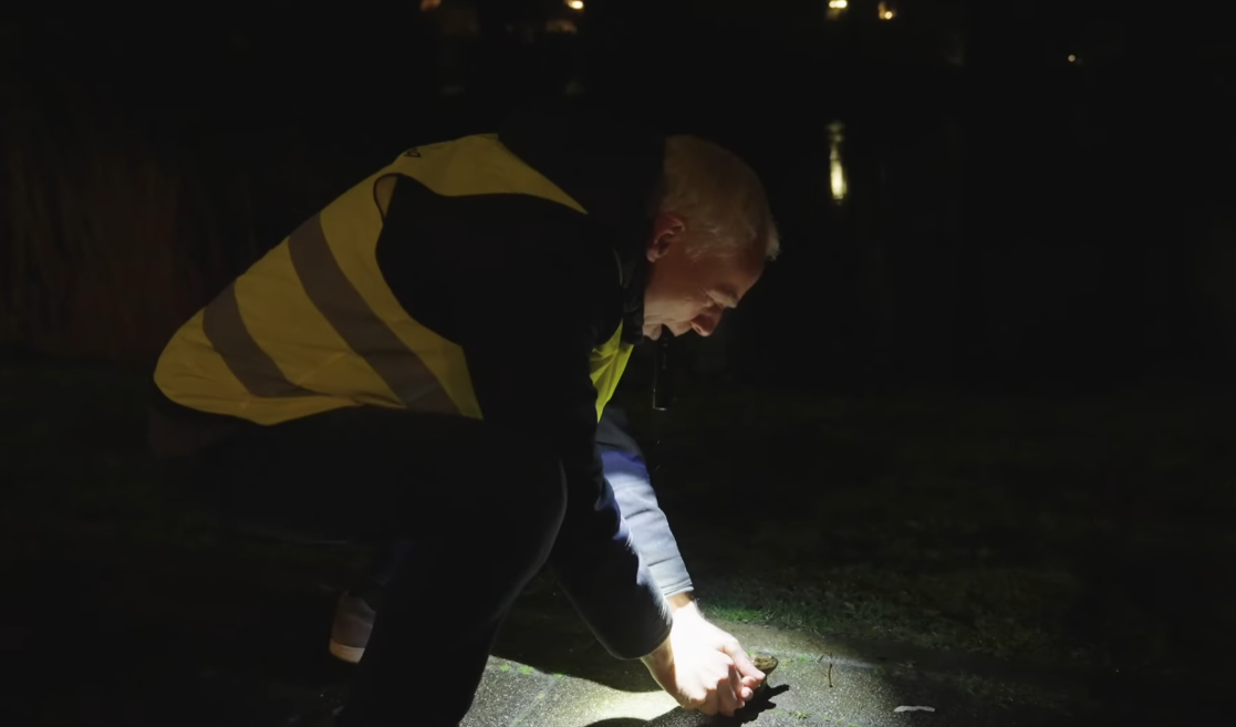 Paddenoverzetters in de startblokken