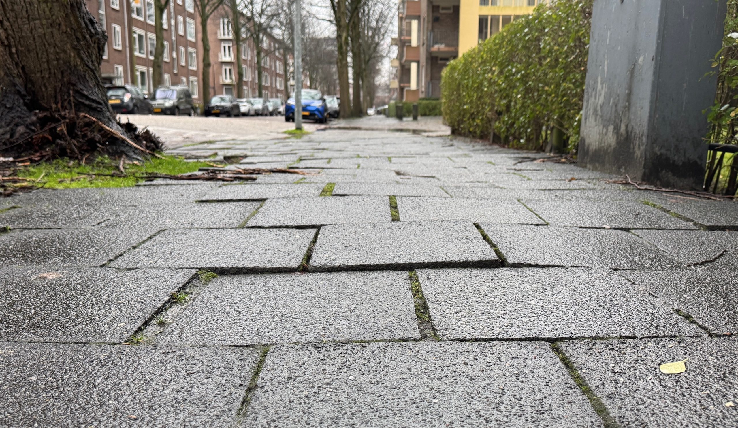 Veel valpartijen door scheve tegels Colijnlaan “Hij werd bijna gelanceerd uit zijn rolstoel”