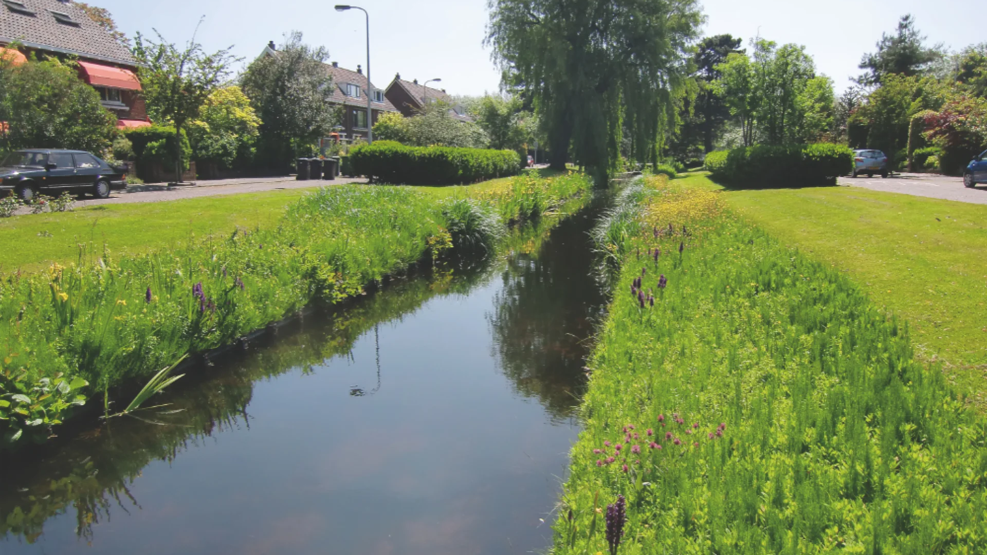 Betere waterkwaliteit door nieuwe samenwerking Leidschendam-Voorburg