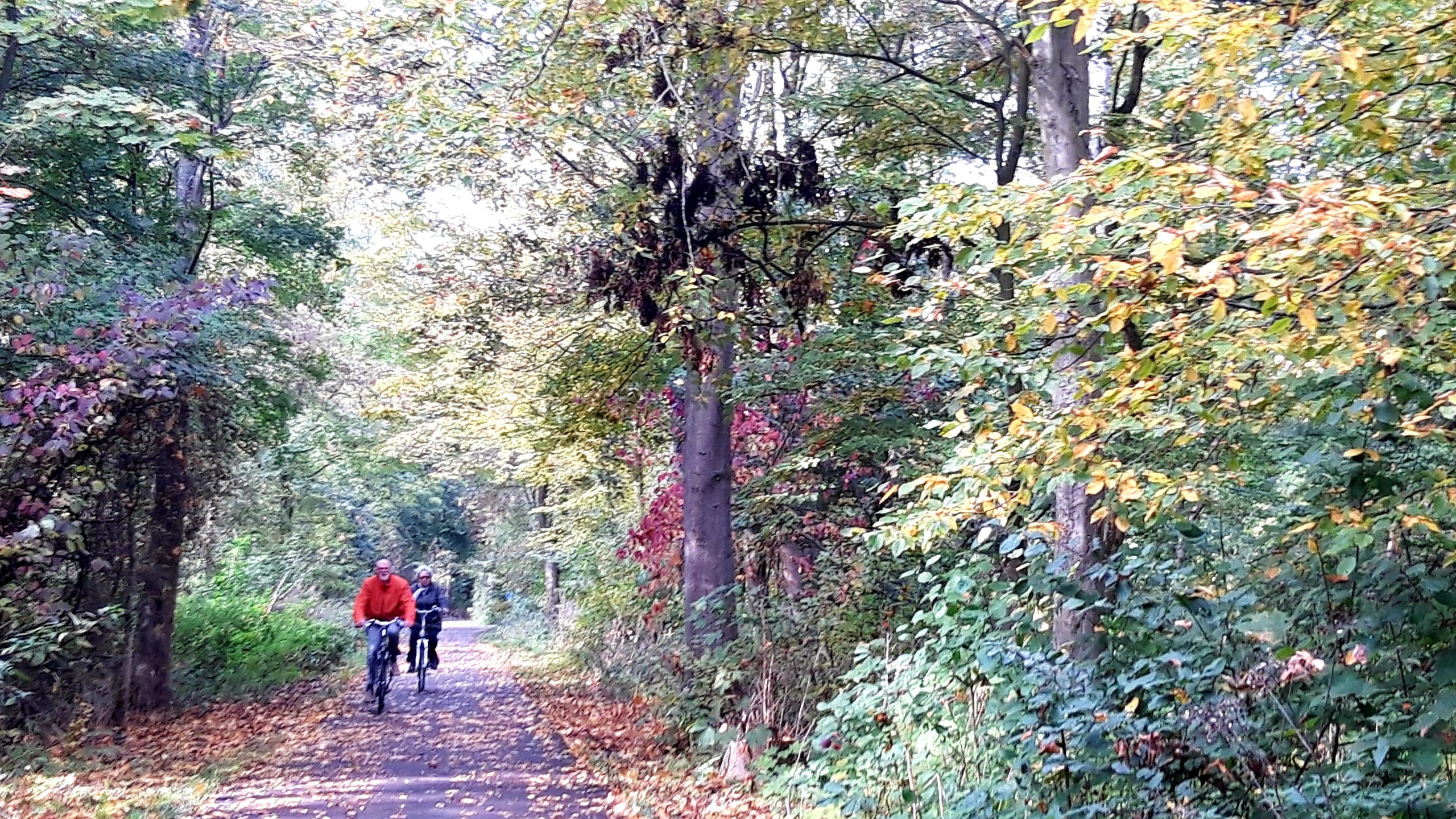 RKDEO en RK Bartholomeus Parochie organiseren fietstocht
