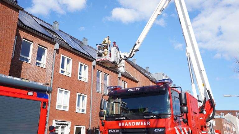 Brandweer redt vastzittende vogel in Pijnacker-Nootdorp