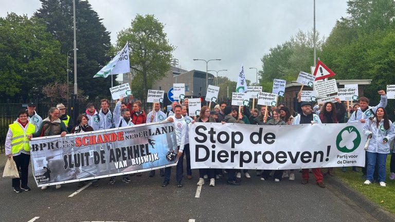 Protest tegen apenproeven in Rijswijk: “Het is 2025, dit kan echt niet meer”