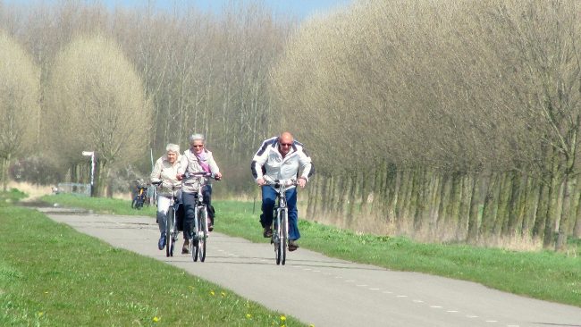 Jan van der Sman - Flink windje in het Balijbos