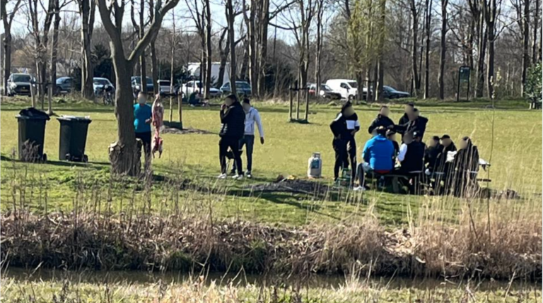 Gefileerd kadaver, brandgevaar en veel afval in het druk bezocht Wilhelminapark: "Dit is niet wenselijk en wij keuren dit gedrag af"