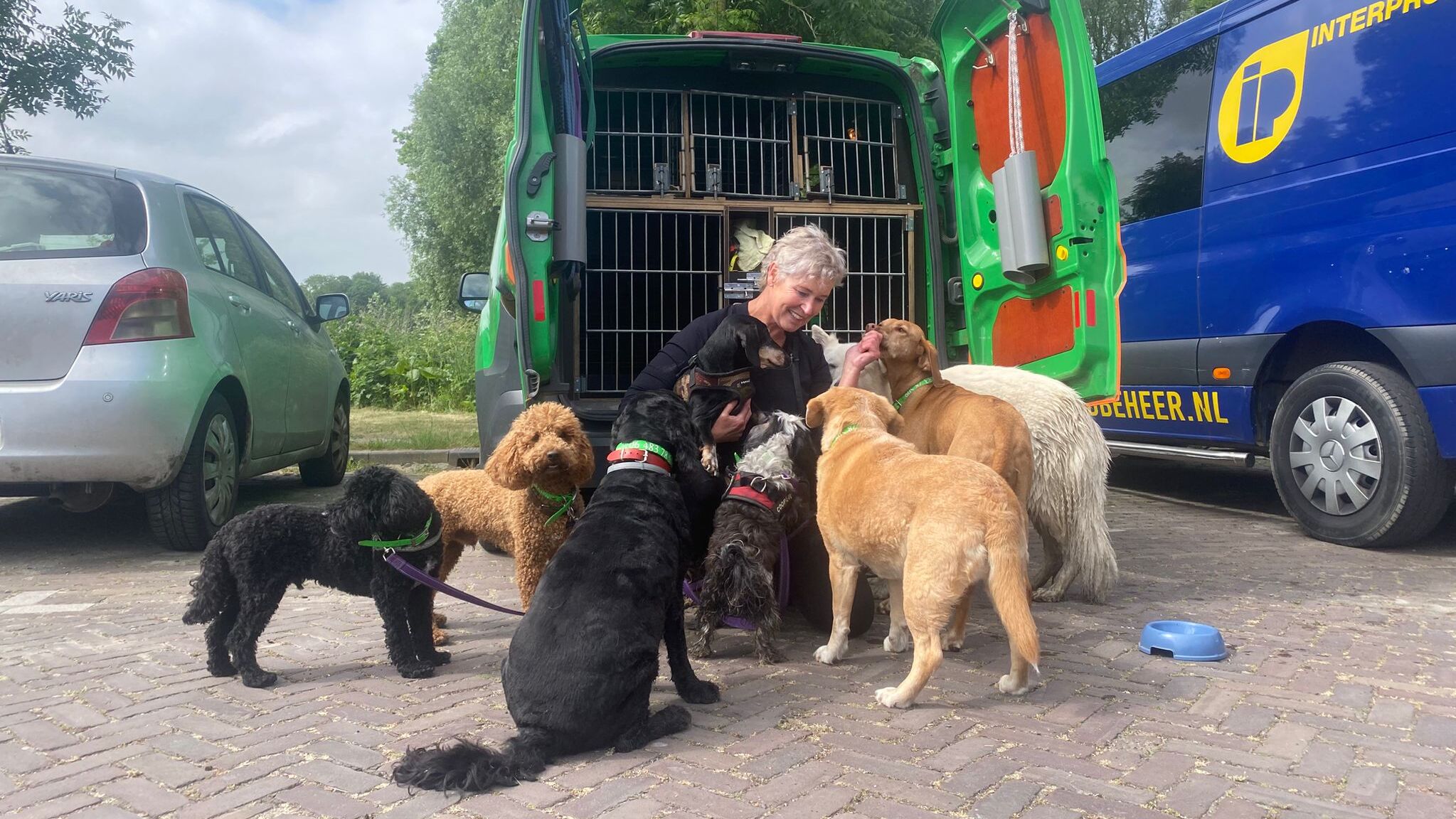 [VIDEO] Nathalie & Friends biedt honden de tijd van hun leven: ‘Je maakt iedere dag wel wat mee’