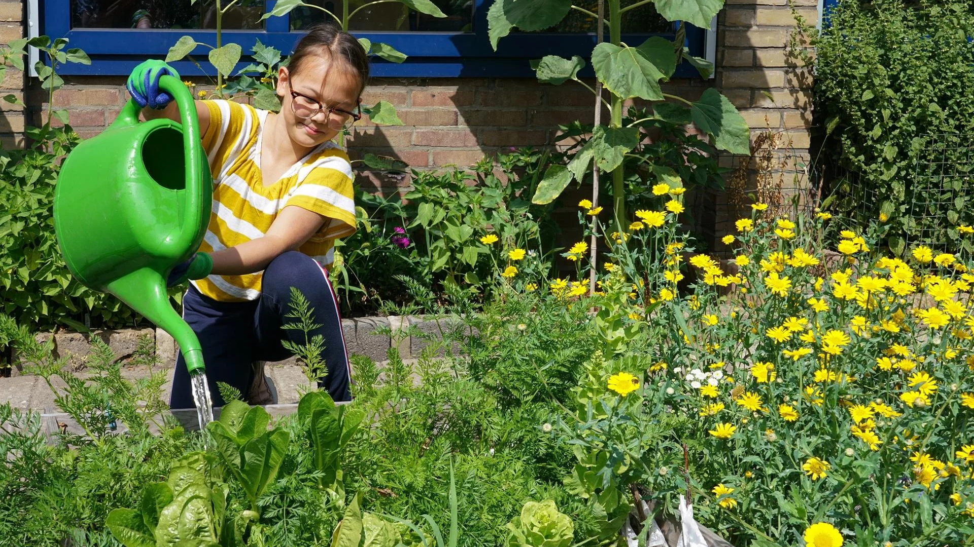 Leidschendam-Voorburg komt in actie voor natuur en klimaat: “Samen helpen we planten en dieren”