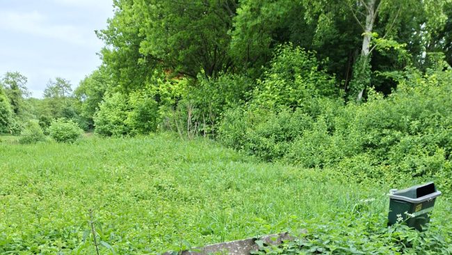 Els Koenraads - Bankje Kruisvaarderspark is beetje prikkelig