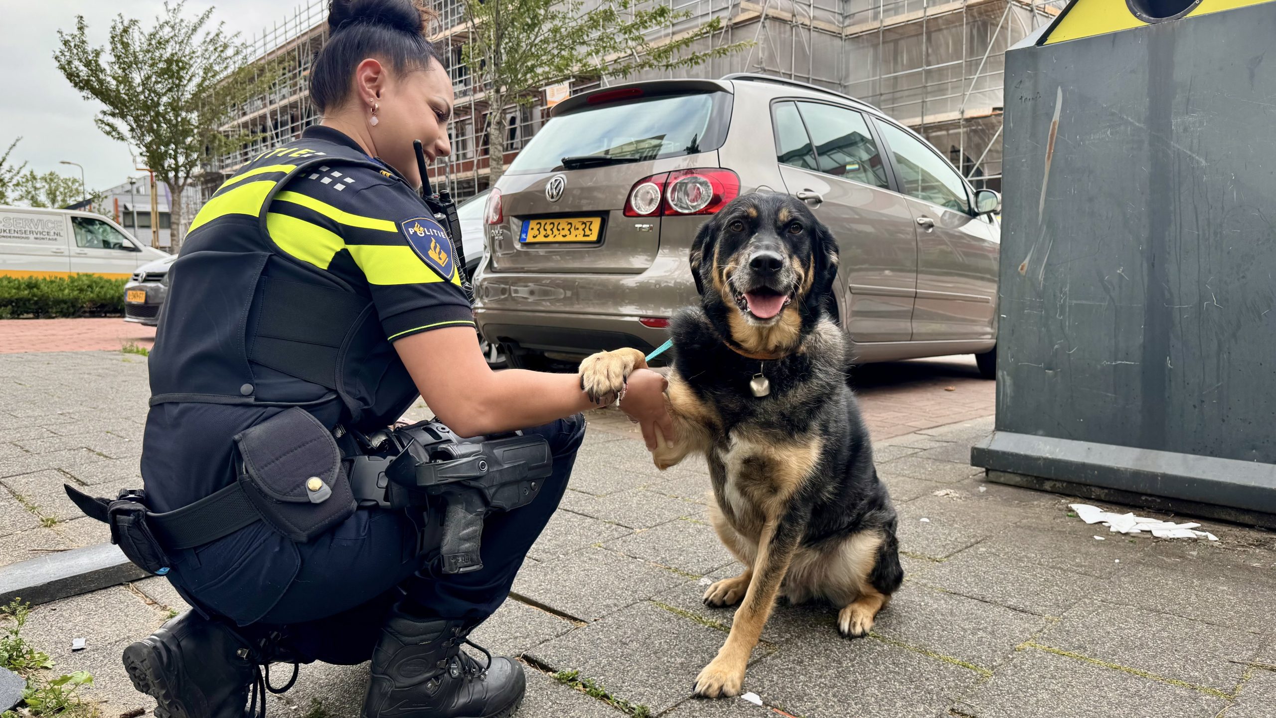 ‘Blinde paniek’ na verliezen hond in Plaspoelpolder