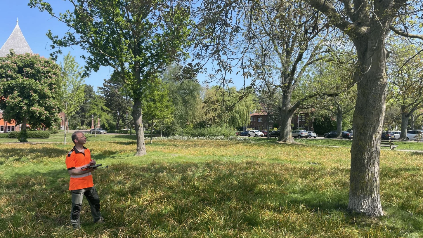 Gemeente Leidschendam-Voorburg start jaarlijkse boomcontrole