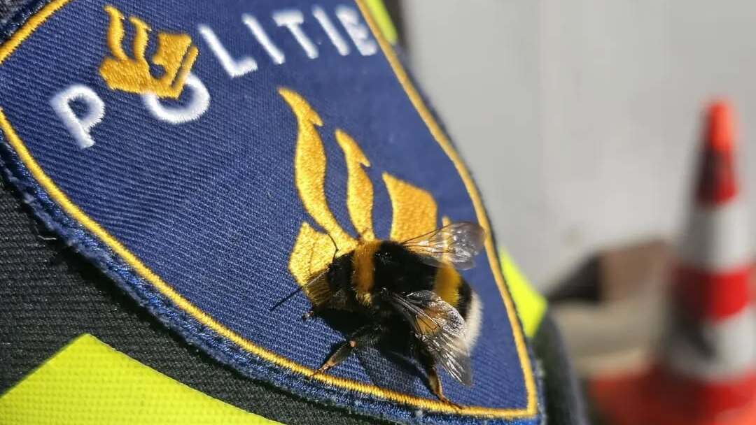 Bij-zonder moment bij politie: hommel rust uit op politielogo