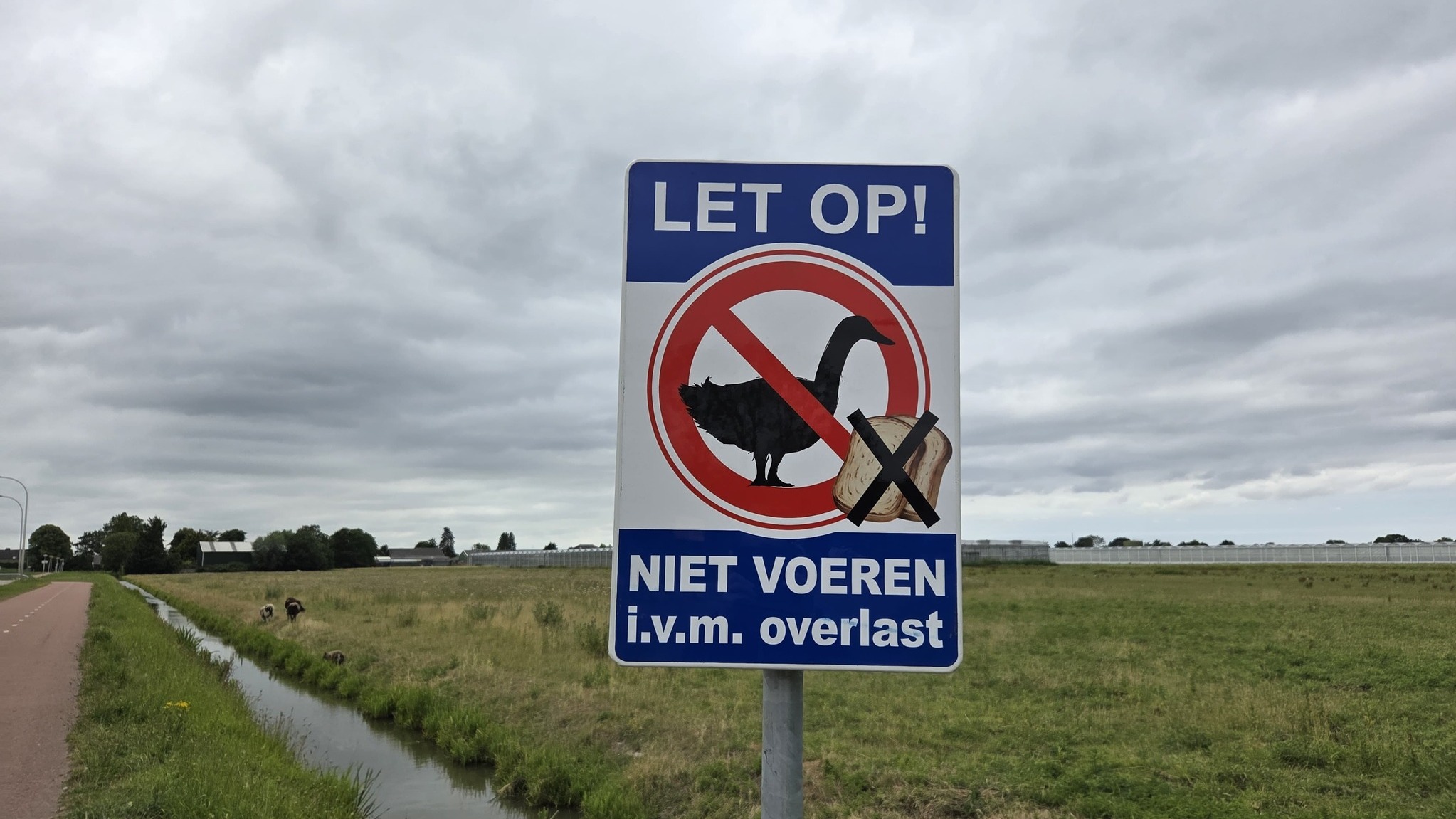 Gemeente Pijnacker-Nootdorp plaatst borden: ‘niet voeren alsjeblieft!’