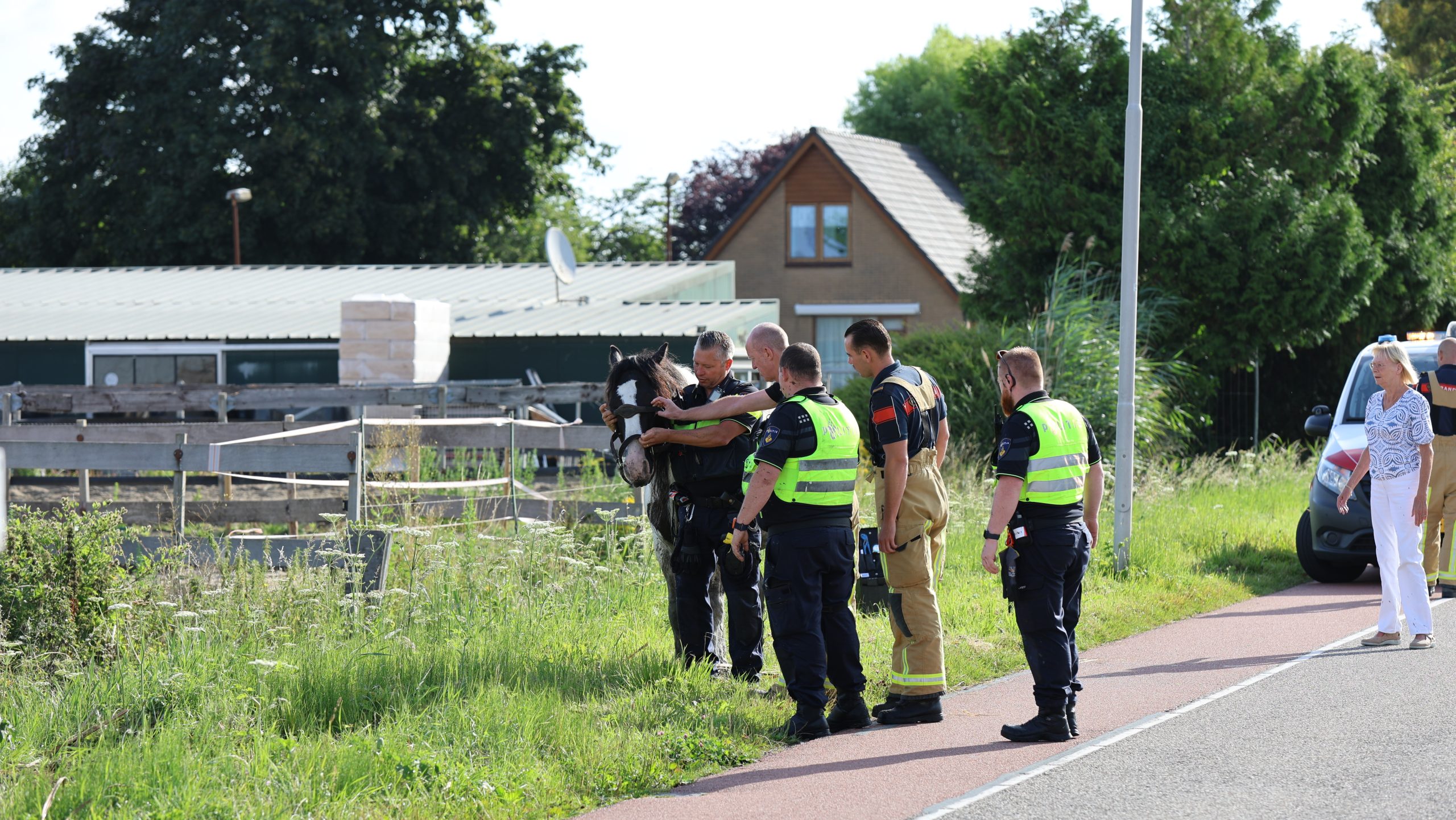 Paard gered uit sloot na reddingsactie in Delfgauw Paard gered uit sloot na reddingsactie in Delfgauw