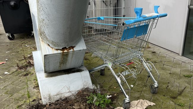 Rijswijker moet weer muntje meenemen naar Albert Heijn XL in De Bogaard