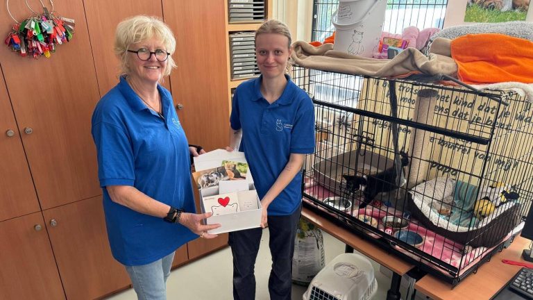 Hartverwarmend huwelijkscadeau: echtpaar schenkt €1001 aan dierentehuis