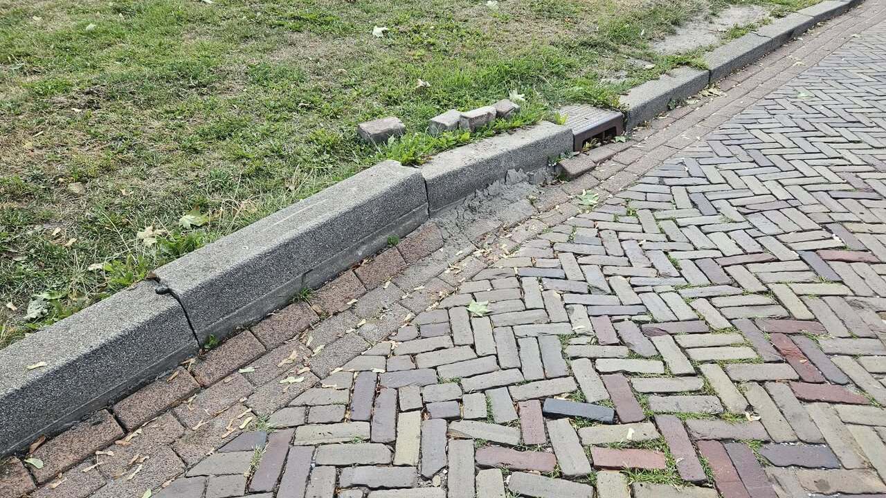 Meldpunt Leefomgeving houdt Pijnacker-Nootdorp schoon en veilig