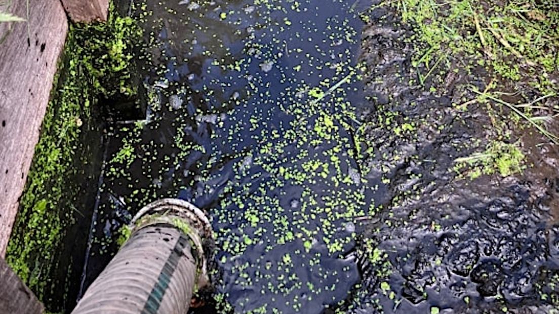 Delfland spoort dader watervervuiling Oude Polder op