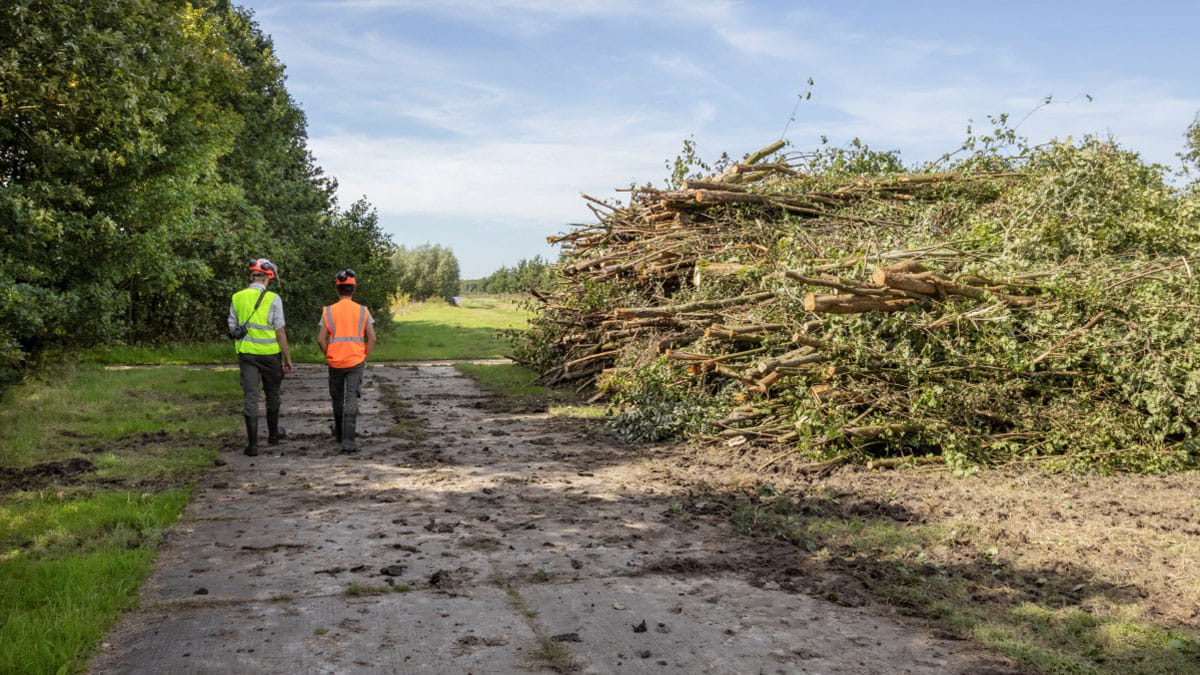 Boswerkzaamheden in Buytenhout voor gevarieerder en toekomstbestendig bos