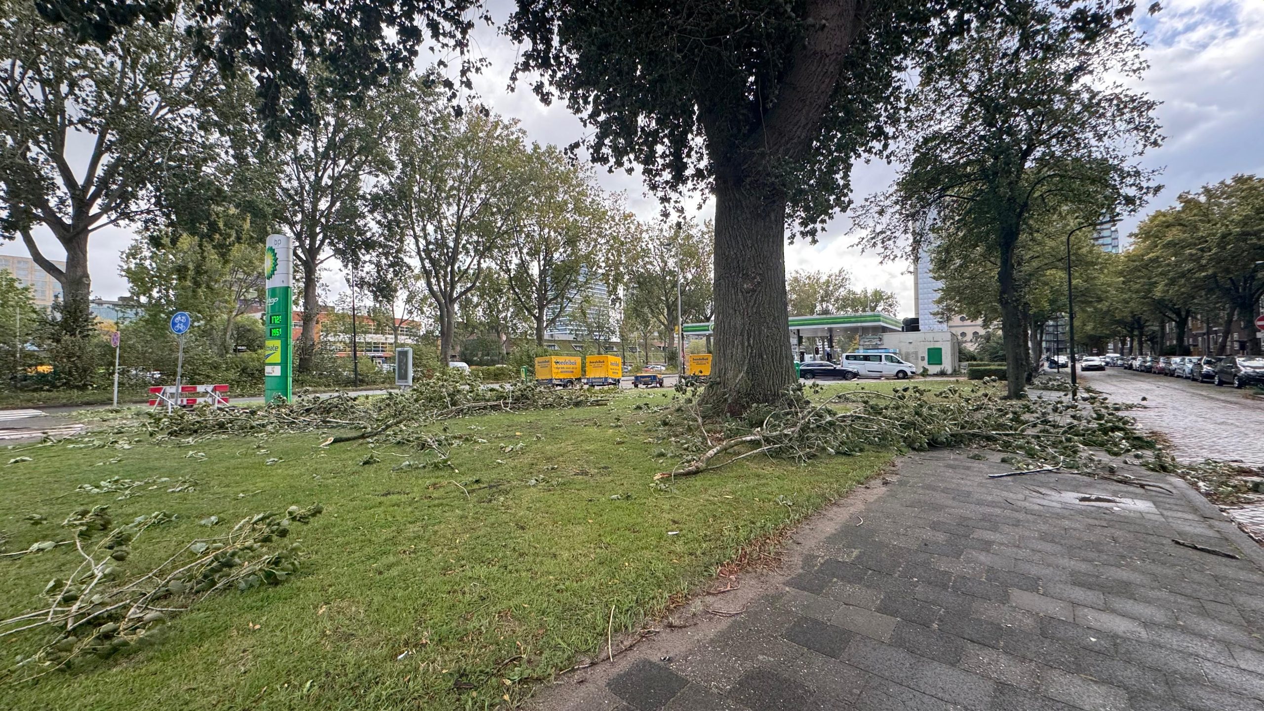 Harde wind veroorzaakt omgevallen bomen en takken in Rijswijk