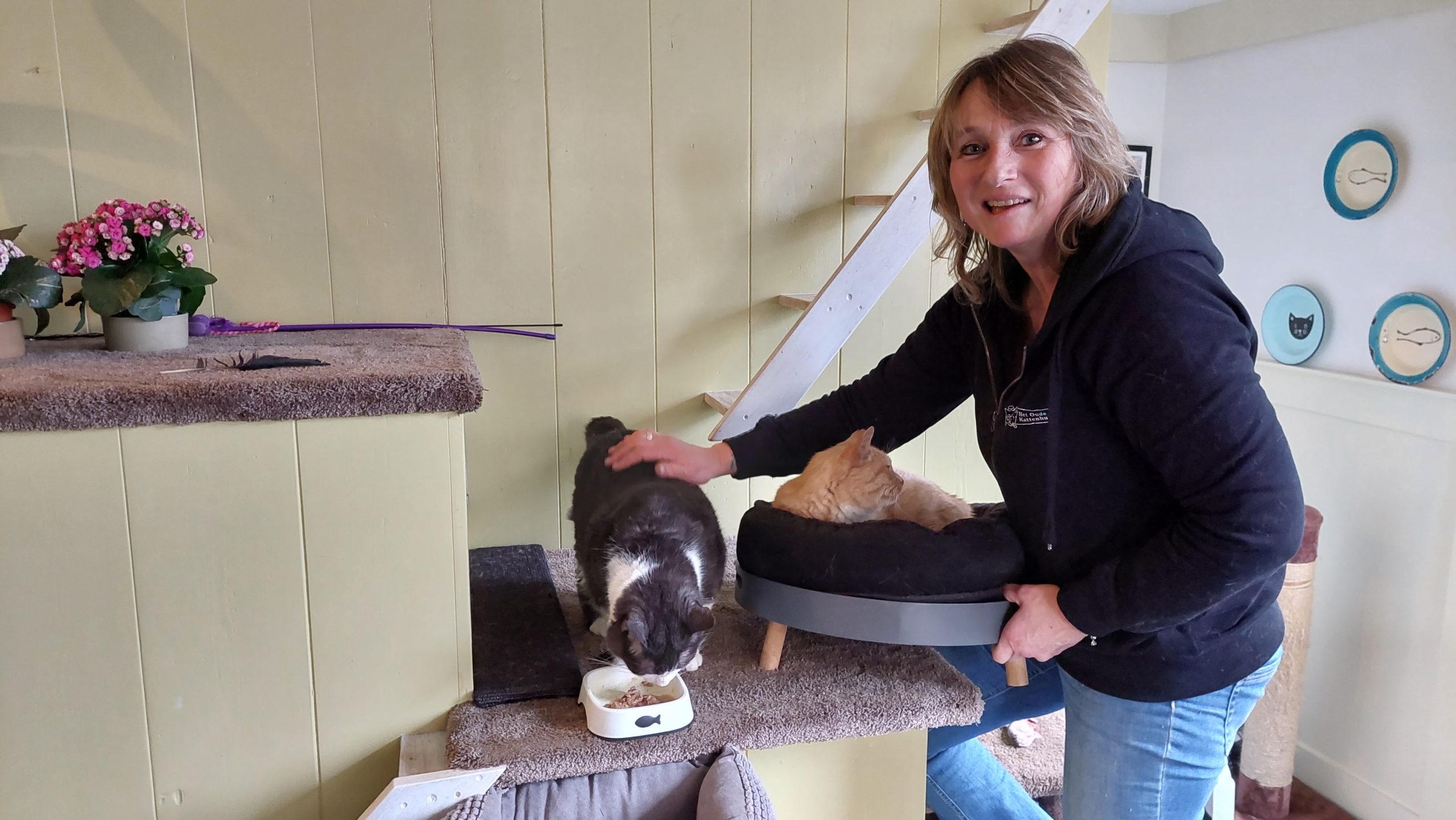 Rijswijkse kattenverzorgster wint radiospel De Fluisteraar en wint 31.000 euro Rijswijkse kattenverzorgster wint radiospel De Fluisteraar en wint 31.000 euro