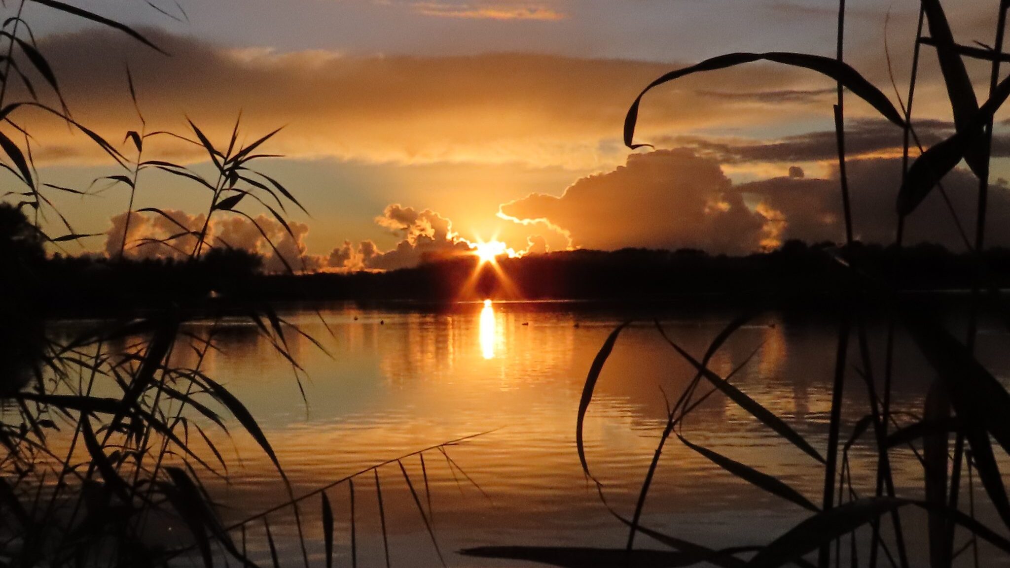 Gemeente en Staatsbosbeheer verlengen samenwerking voor zes jaar