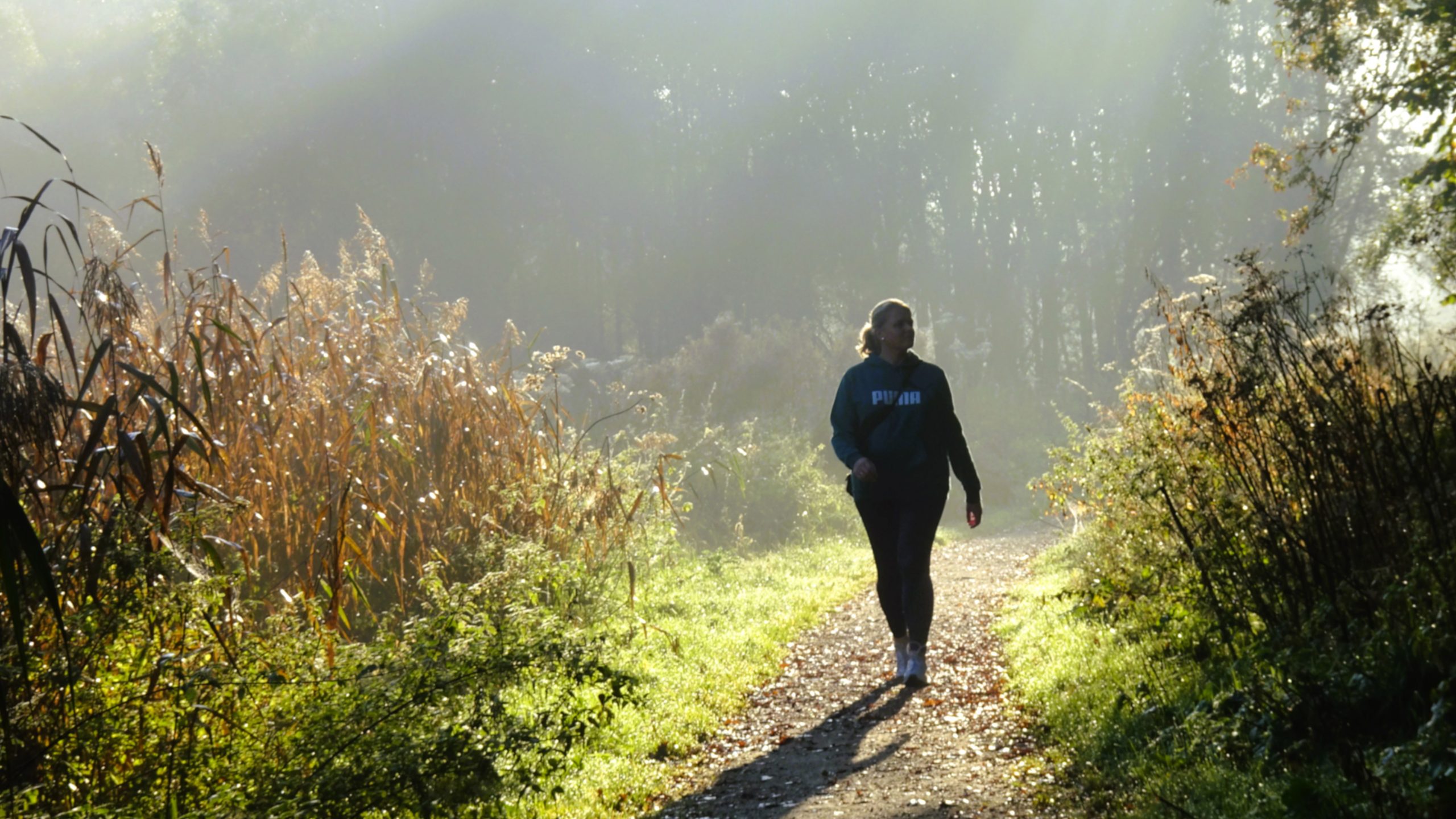 Wandelen met wandelgroep Happy Fit Rijswijk