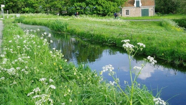Gemeente vraagt inwoners mee te denken over gezonde leefomgeving Gemeente vraagt inwoners mee te denken over gezonde leefomgeving