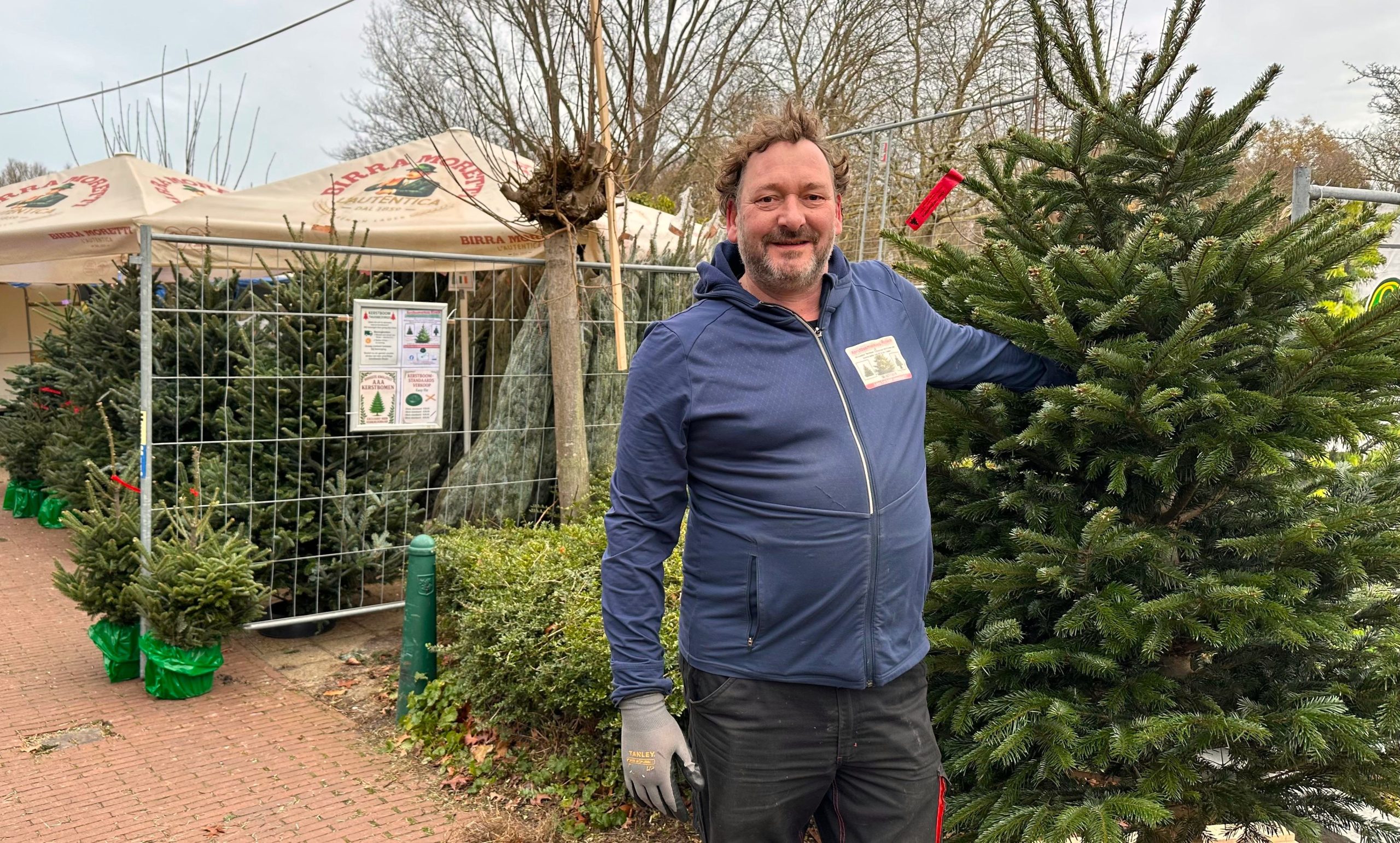 [VIDEO] Kerstbomen uit heel europa te koop aan het Julialaantje