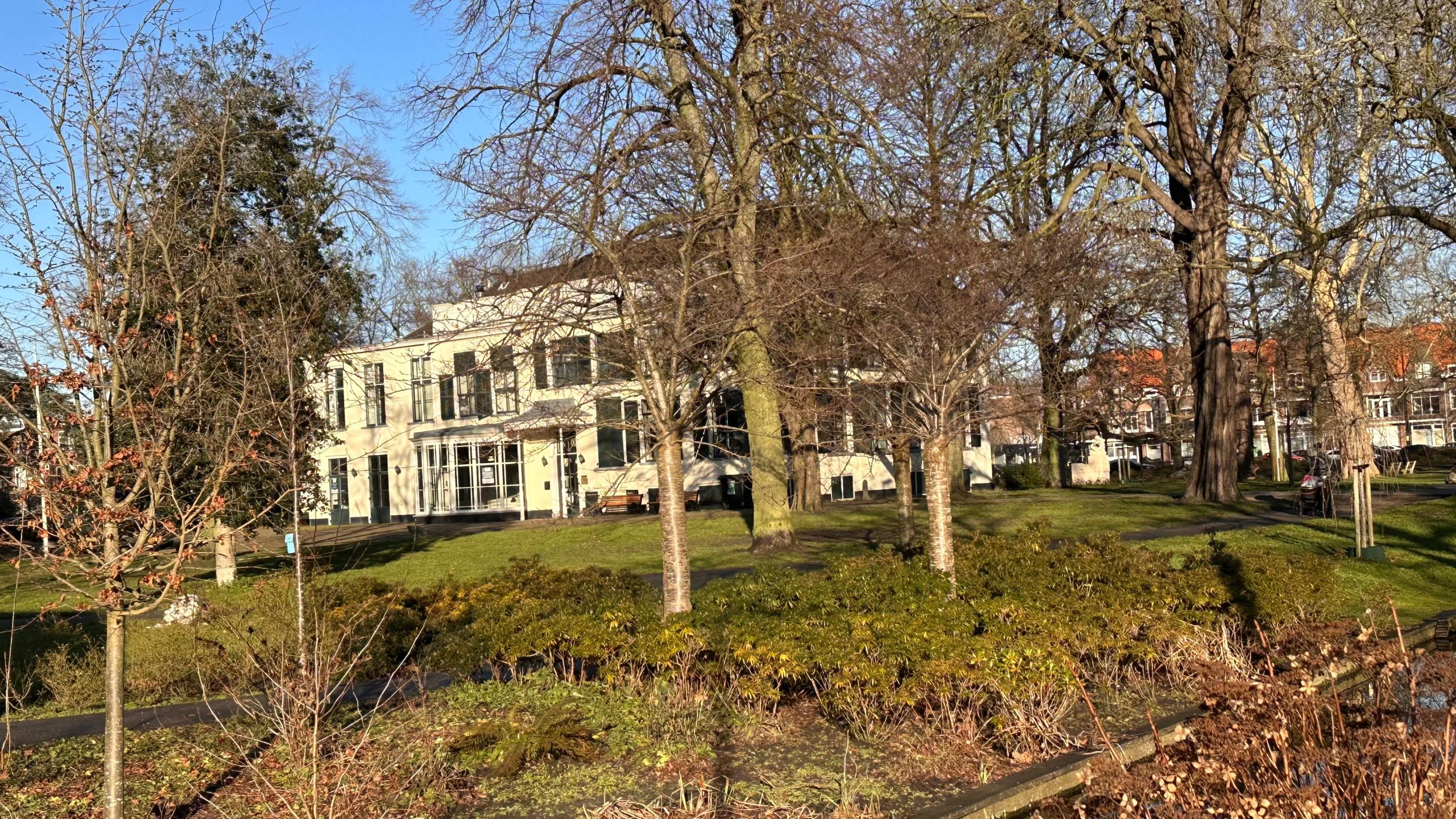 WhatsApp Image 2026-01-14 at 14.19.43