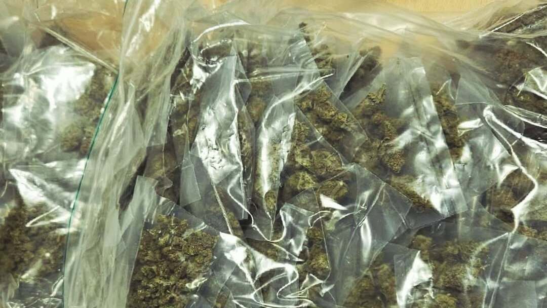 Hennep aangetroffen bij controle garageboxen op Jaagpad Hennep aangetroffen bij controle garageboxen op Jaagpad