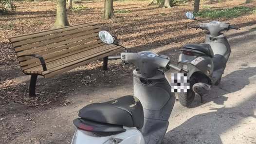 Alerte politie grijpt in, scooterdieven gepakt in Rijswijk