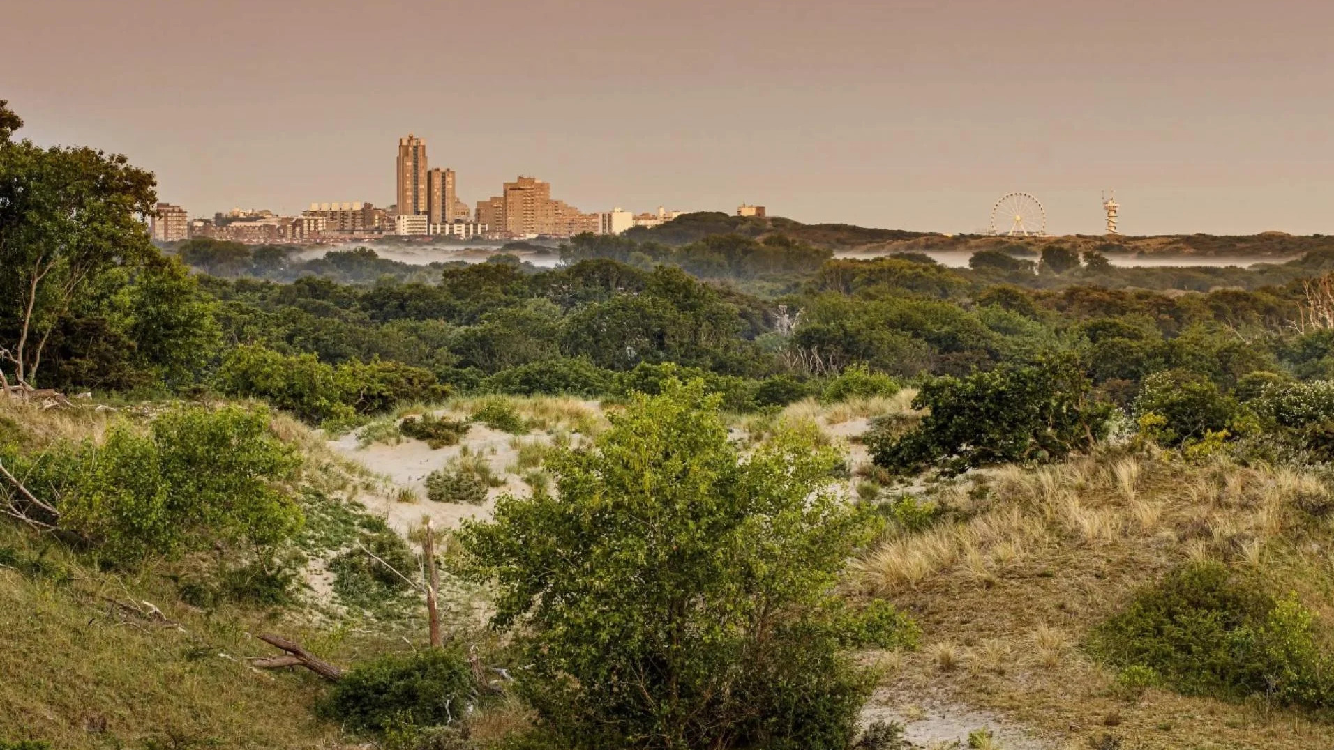 Nationaal Park Hollandse Duinen officieel erkend