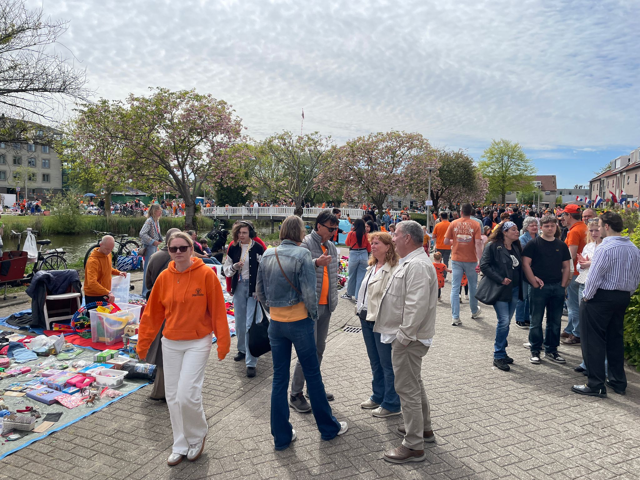 WhatsApp Image 2026-04-27 at 14.24.40 (8)