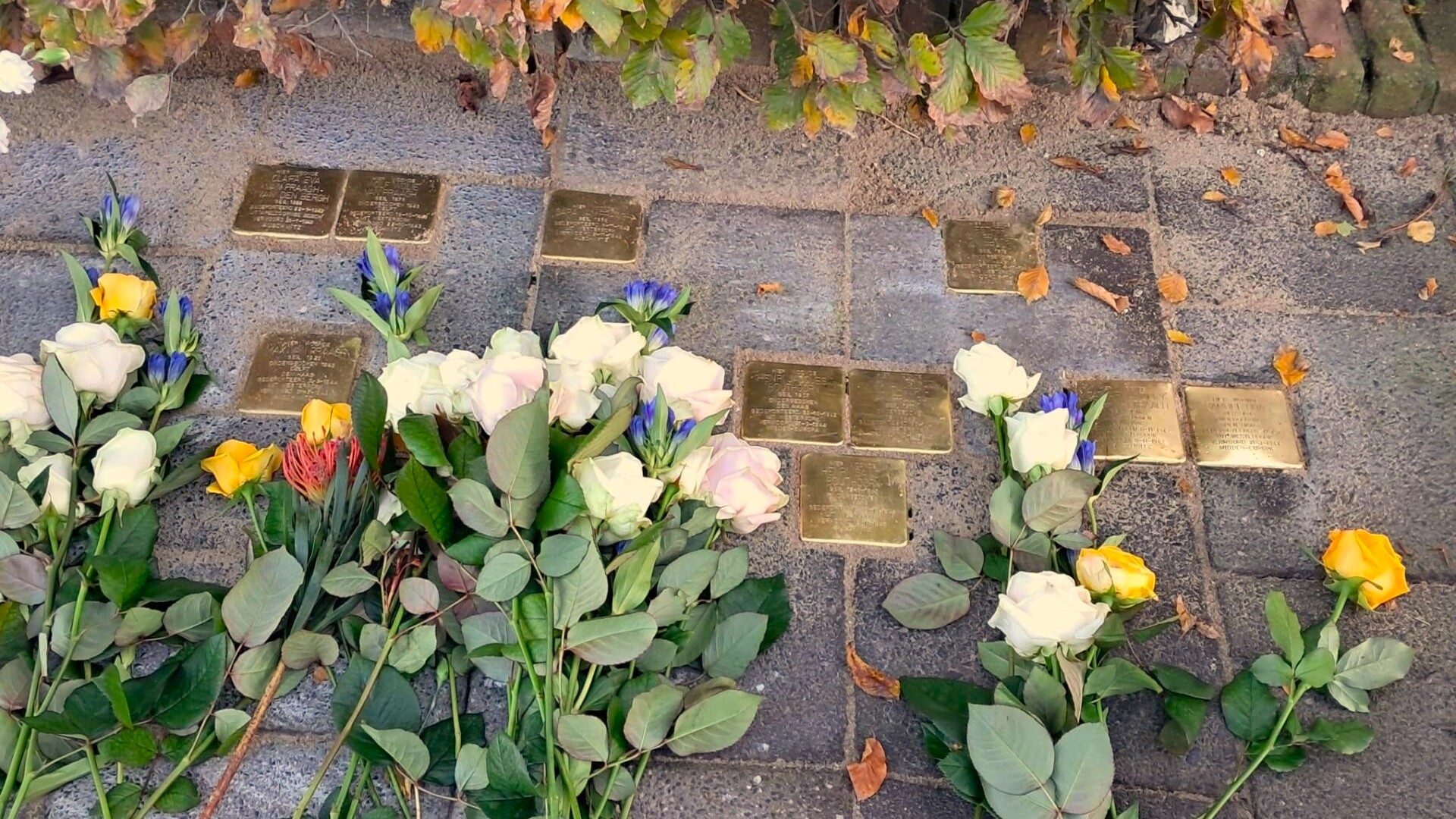 Rijswijk wil met struikelstenen een blijvende herinnering aan oorlogsslachtoffers