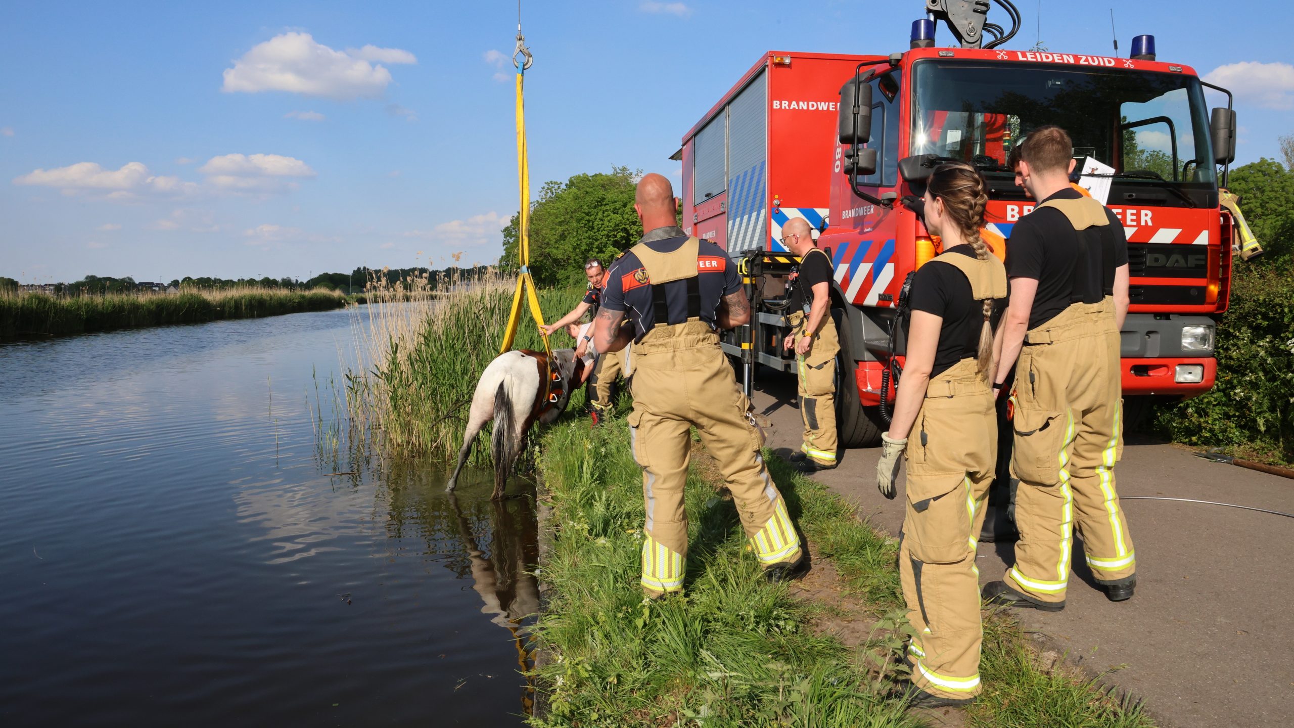 Paard en wagen te water langs Meer- en Geerweg in Leidschendam