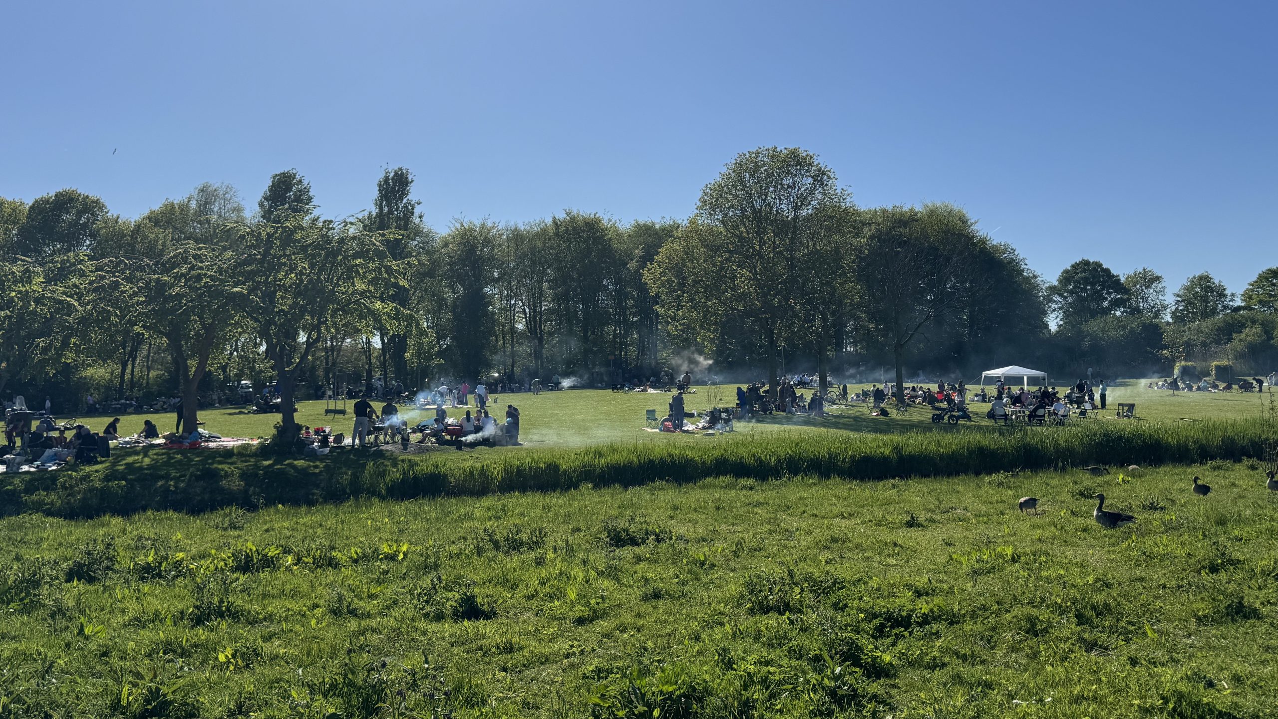Tijdelijk barbecueverbod in Wilhelminapark door droogte