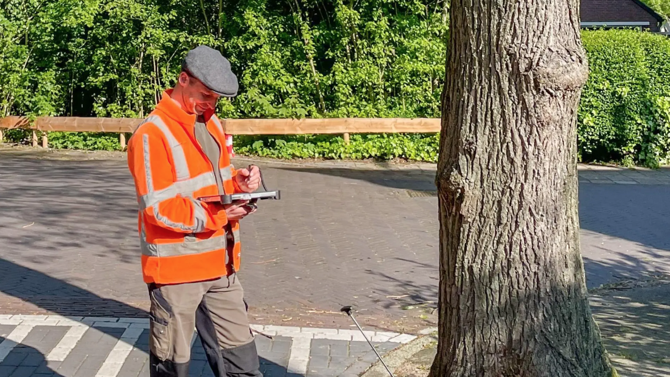 Jaarlijkse boomcontrole van start in Leidschendam-Voorburg