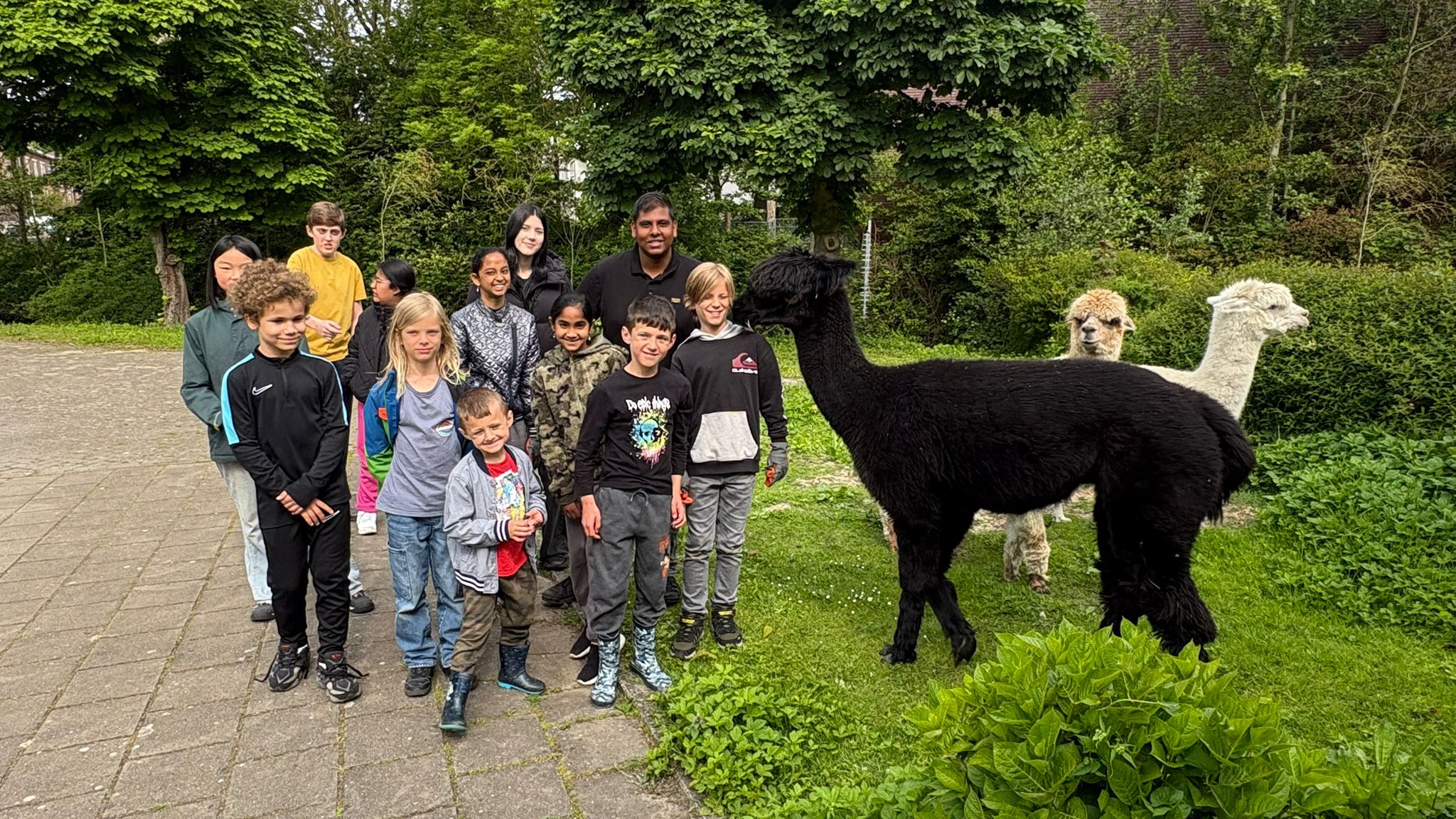 [VIDEO] Kinderen Don Bosco helpen mee op alpacaboerderij tijdens vrijwilligersproject