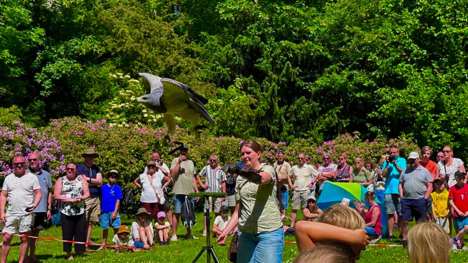 Jong en oud geniet van indrukwekkende roofvogelshow op Landgoed Te Werve