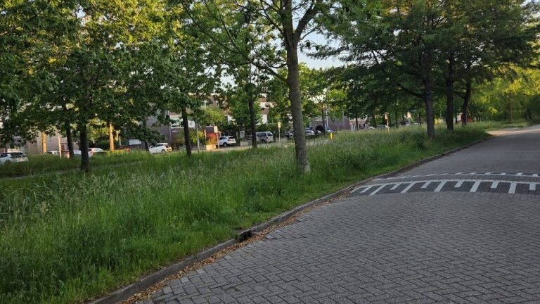 Werkzaamheden in meerdere straten in wijk Emerald in Delfgauw van start