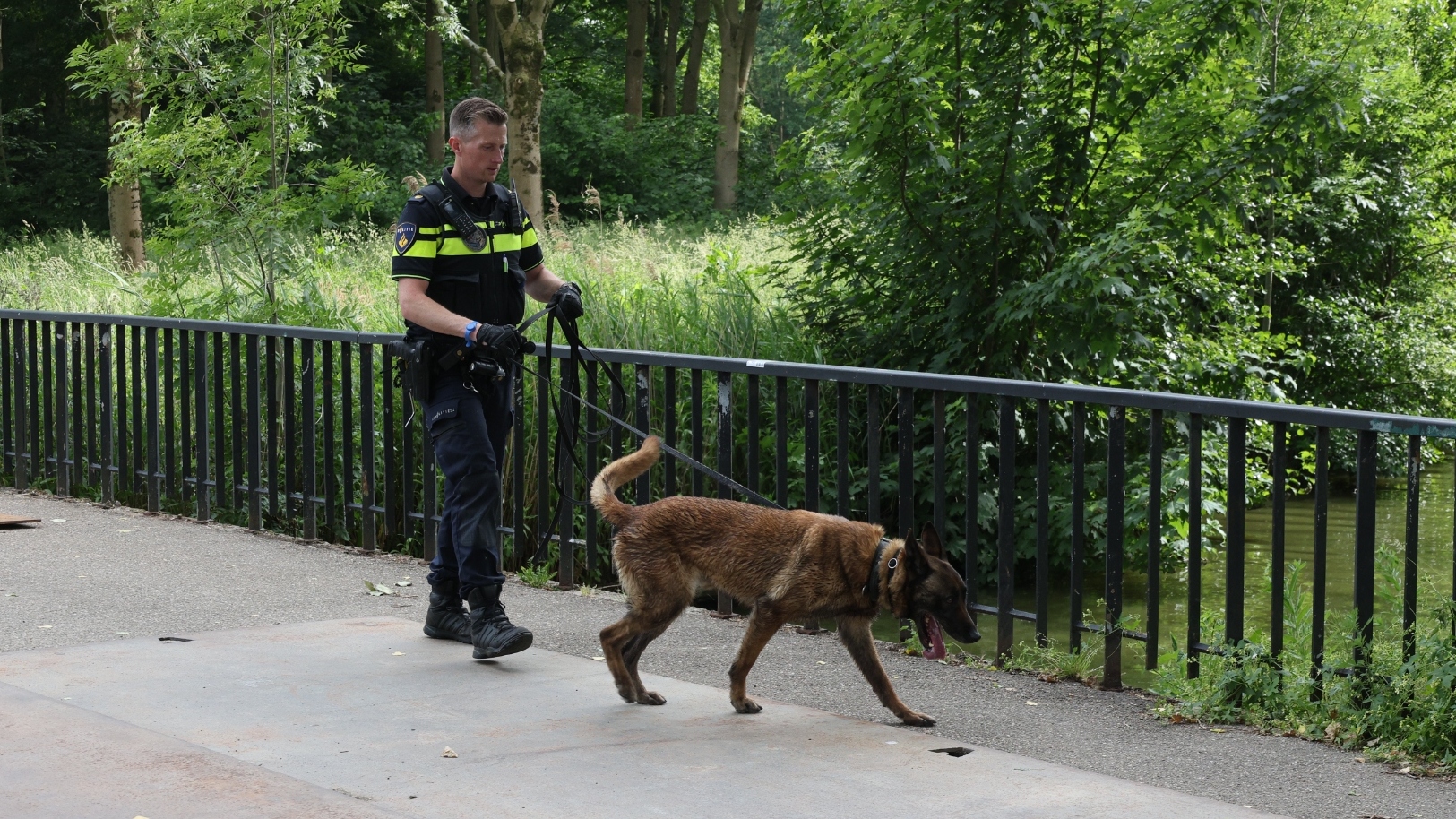 Politiehelikopter en hond ingezet na vlucht op gestolen scooter in Rijswijk Politiehelikopter en hond ingezet na vlucht op gestolen scooter in Rijswijk