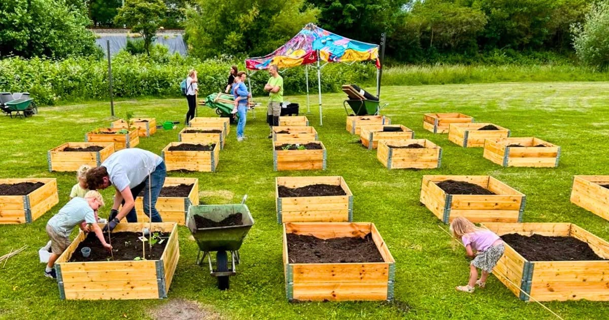 Eerste moestuinbakken geplaatst in Essetuin, buurtinitiatief krijgt vorm Eerste moestuinbakken geplaatst in Essetuin, buurtinitiatief krijgt vorm