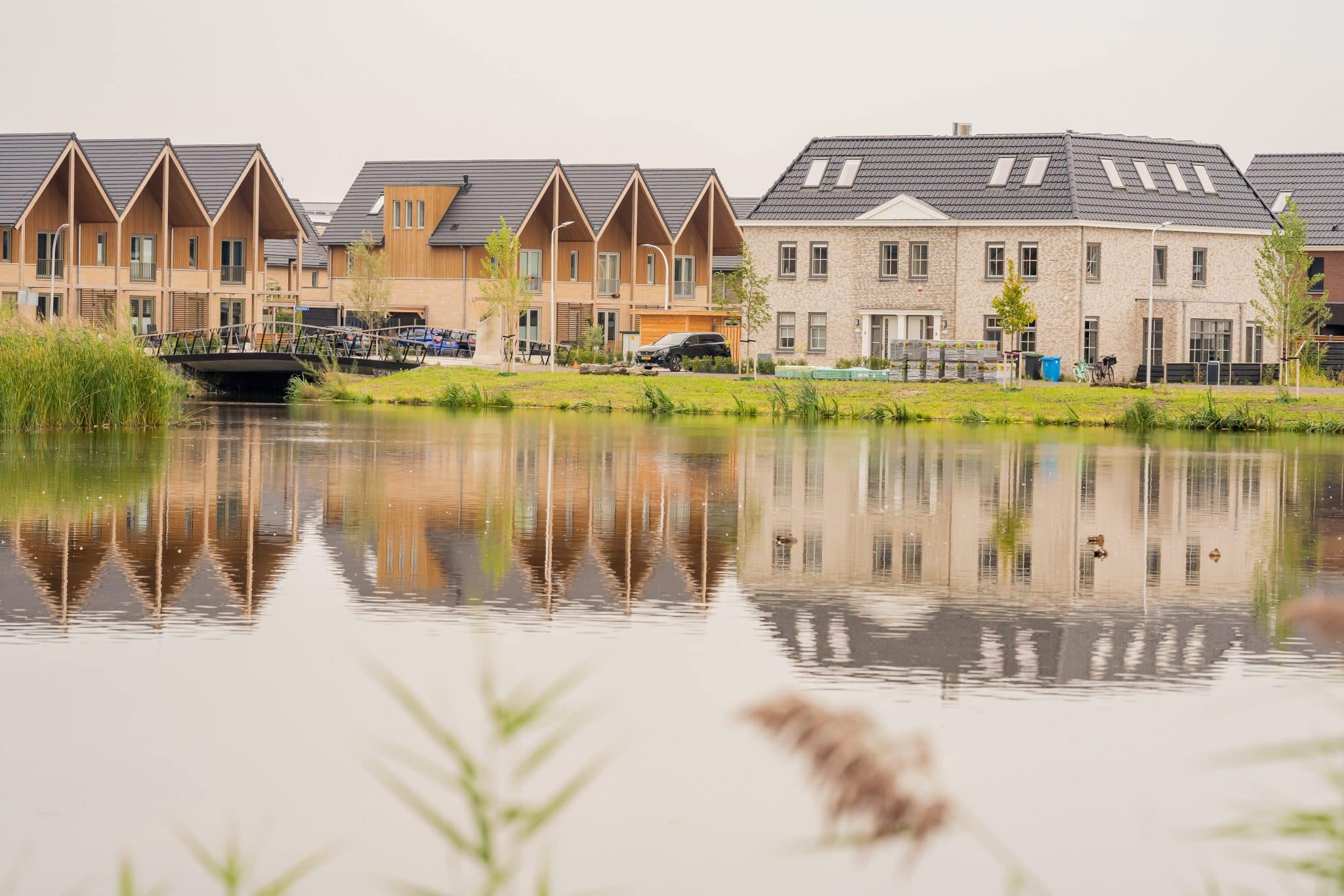 Blauwalgen aangetroffen in Plas van Van Buijsen